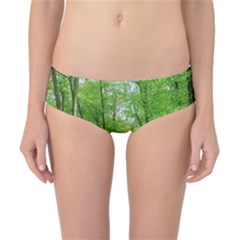 In The Forest The Fullness Of Spring, Green, Classic Bikini Bottoms by MartinsMysteriousPhotographerShop