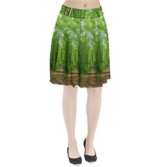 In The Forest The Fullness Of Spring, Green, Pleated Skirt by MartinsMysteriousPhotographerShop