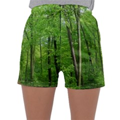 In The Forest The Fullness Of Spring, Green, Sleepwear Shorts