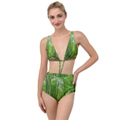 In The Forest The Fullness Of Spring, Green, Tied Up Two Piece Swimsuit by MartinsMysteriousPhotographerShop