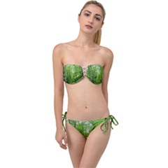 In The Forest The Fullness Of Spring, Green, Twist Bandeau Bikini Set