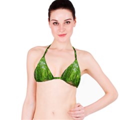 In The Forest The Fullness Of Spring, Green, Bikini Top