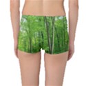 In the forest the fullness of spring, green, Boyleg Bikini Bottoms View2