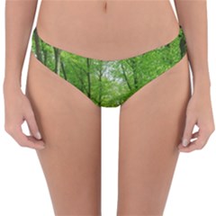 In The Forest The Fullness Of Spring, Green, Reversible Hipster Bikini Bottoms by MartinsMysteriousPhotographerShop