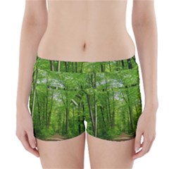 In The Forest The Fullness Of Spring, Green, Boyleg Bikini Wrap Bottoms