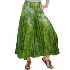 In The Forest The Fullness Of Spring, Green, Satin Palazzo Pants by MartinsMysteriousPhotographerShop