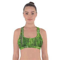 In The Forest The Fullness Of Spring, Green, Cross Back Sports Bra by MartinsMysteriousPhotographerShop