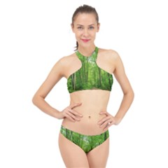 In The Forest The Fullness Of Spring, Green, High Neck Bikini Set