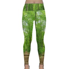 In The Forest The Fullness Of Spring, Green, Lightweight Velour Classic Yoga Leggings by MartinsMysteriousPhotographerShop