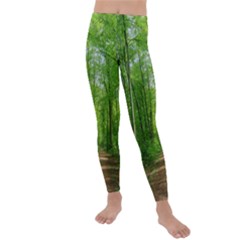 In The Forest The Fullness Of Spring, Green, Kids  Lightweight Velour Leggings by MartinsMysteriousPhotographerShop