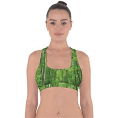 In The Forest The Fullness Of Spring, Green, Cross Back Hipster Bikini Top 