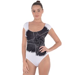 1561332892177 Copy 3072x4731 2 Short Sleeve Leotard  by Sabelacarlos