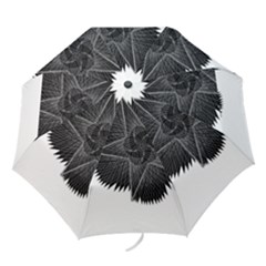 1561332892177 Copy 3072x4731 2 Folding Umbrellas by Sabelacarlos