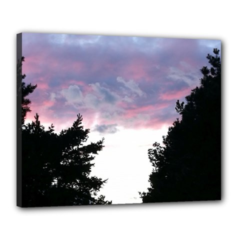 Colorful Overcast, Pink,violet,gray,black Canvas 20  X 16  (stretched) by MartinsMysteriousPhotographerShop