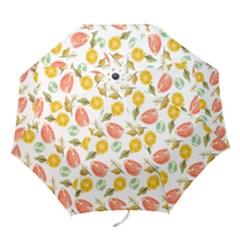 Citrus Gouache Pattern Folding Umbrellas by EvgeniaEsenina