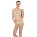 Citrus Gouache Pattern Classic Banded Bikini Set  View1