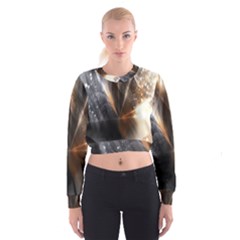 Flash Light Cropped Sweatshirt by Sparkle