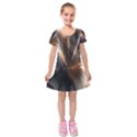 Flash Light Kids  Short Sleeve Velvet Dress View1