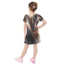 Flash Light Kids  Short Sleeve Velvet Dress View2