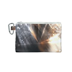 Flash Light Canvas Cosmetic Bag (small) by Sparkle