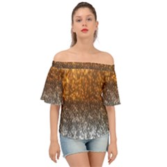 Glitter Gold Off Shoulder Short Sleeve Top by Sparkle