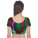 Rainbow Waves Velvet Short Sleeve Crop Top  View2