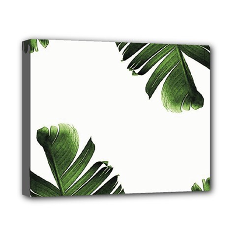 Banana Leaves Canvas 10  X 8  (stretched) by goljakoff