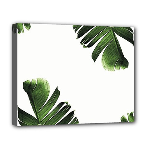 Banana Leaves Deluxe Canvas 20  X 16  (stretched) by goljakoff