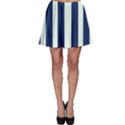 Navy in Vertical Stripes Skater Skirt View1