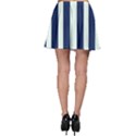 Navy in Vertical Stripes Skater Skirt View2