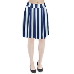 Navy In Vertical Stripes Pleated Skirt by Janetaudreywilson