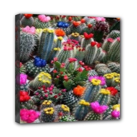 Cactus Mini Canvas 8  X 8  (stretched) by Sparkle