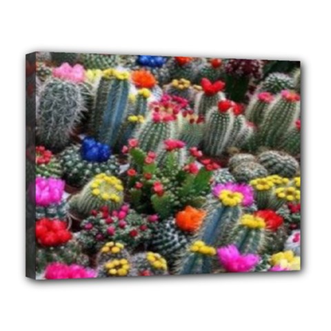 Cactus Canvas 14  X 11  (stretched) by Sparkle