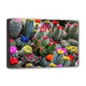 Cactus Deluxe Canvas 18  x 12  (Stretched) View1