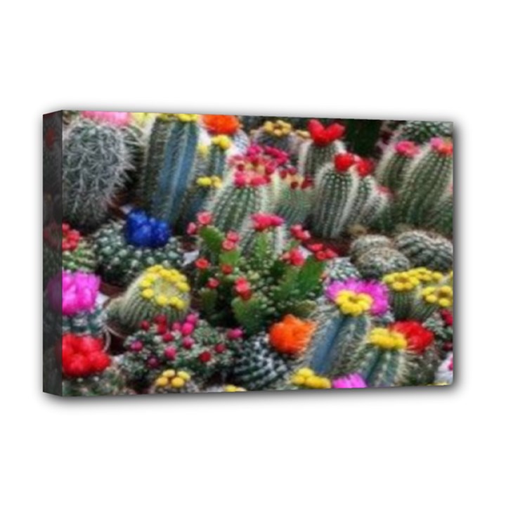 Cactus Deluxe Canvas 18  x 12  (Stretched)