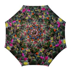 Cactus Golf Umbrellas by Sparkle