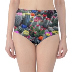 Cactus Classic High-waist Bikini Bottoms by Sparkle