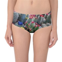 Cactus Mid-waist Bikini Bottoms by Sparkle