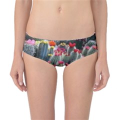 Cactus Classic Bikini Bottoms by Sparkle