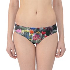 Cactus Hipster Bikini Bottoms by Sparkle