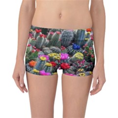 Cactus Reversible Boyleg Bikini Bottoms by Sparkle