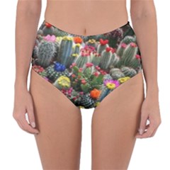 Cactus Reversible High-waist Bikini Bottoms by Sparkle