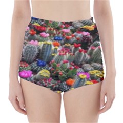 Cactus High-waisted Bikini Bottoms by Sparkle