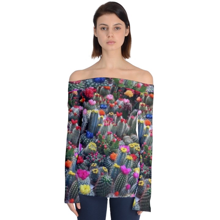 Cactus Off Shoulder Long Sleeve Top