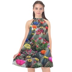 Cactus Halter Neckline Chiffon Dress  by Sparkle