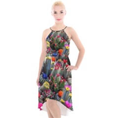 Cactus High-low Halter Chiffon Dress  by Sparkle