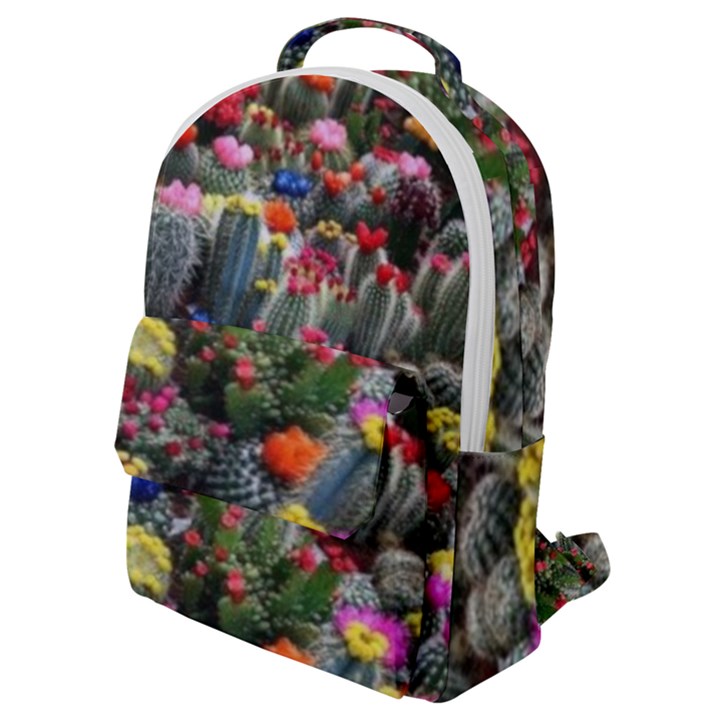 Cactus Flap Pocket Backpack (Small)