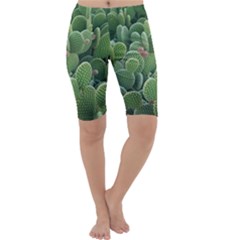 Green Cactus Cropped Leggings  by Sparkle