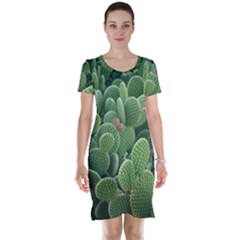 Green Cactus Short Sleeve Nightdress by Sparkle