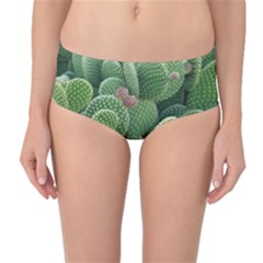 Green Cactus Mid-waist Bikini Bottoms by Sparkle